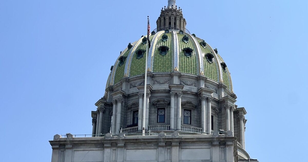 '빅토리아법'은 펜실베니아주 강아지 공장에서 사육되는 동물의 판매를 금지하는 것을 목표로 하고 있습니다.