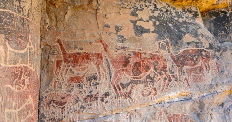 의견: 고대의 세련된 미각
    


