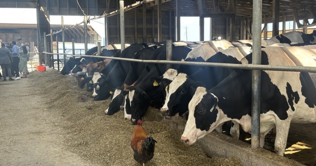 축퇴된 농장-푸드 뱅크 프로그램 발전을 되살리려는 Rob Bresnahan 의원의 계획