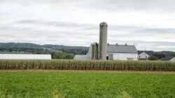 펜실베니아 중소기업, 미국 대법원 관세 결정을 응원하지만 여전히 불확실성에 직면