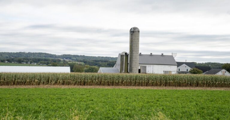 펜실베니아 중소기업, 미국 대법원 관세 결정을 응원하지만 여전히 불확실성에 직면
    


