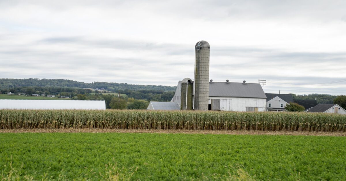 펜실베니아 중소기업, 미국 대법원 관세 결정을 응원하지만 여전히 불확실성에 직면