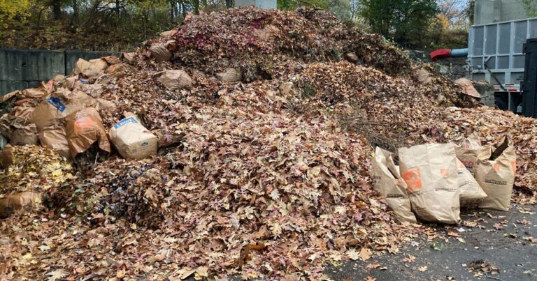 NFL 드래프트로 인해 피츠버그 정원 쓰레기 수거가 4월 18일로 옮겨졌습니다.
    


