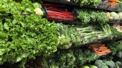 의회는 식품 정의 프로그램 삭감을 포함한 피츠버그 시 예산 변경을 승인했습니다.