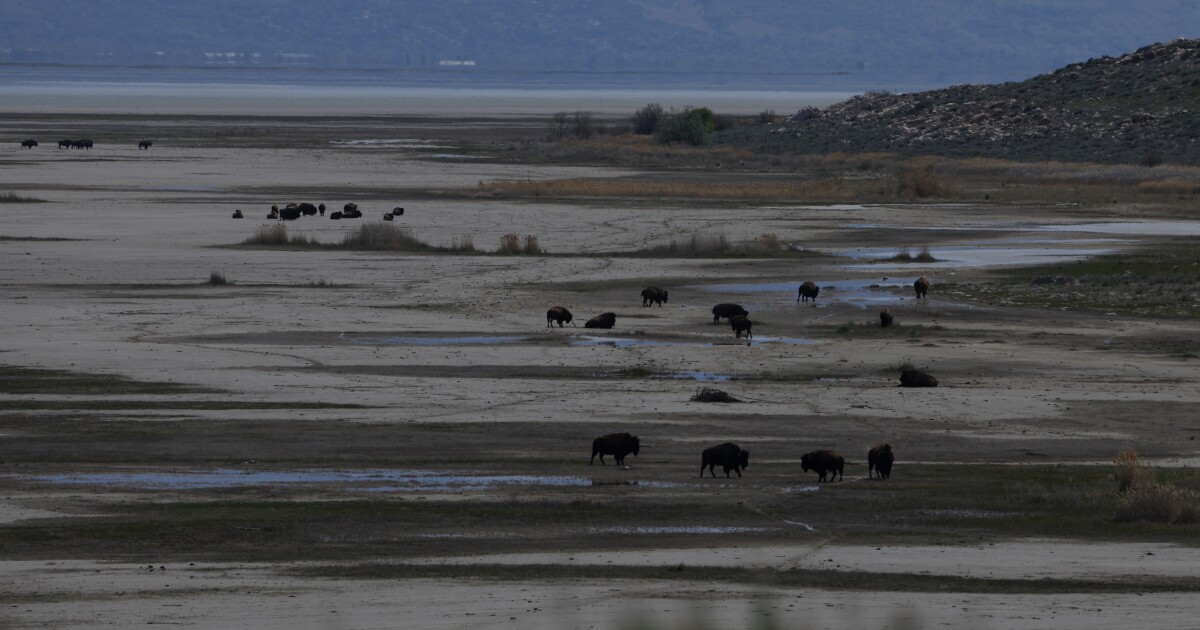 트럼프가 그레이트 솔트레이크에 10억 달러를 투자하려는 이유