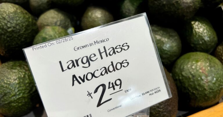 펜실베이니아주와 20개 이상의 주들이 트럼프의 새로운 글로벌 관세에 대해 소송을 제기했습니다.
    


