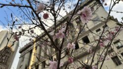 피츠버그 시의회 직원, 경찰이 ICE와 협력하는 것을 금지