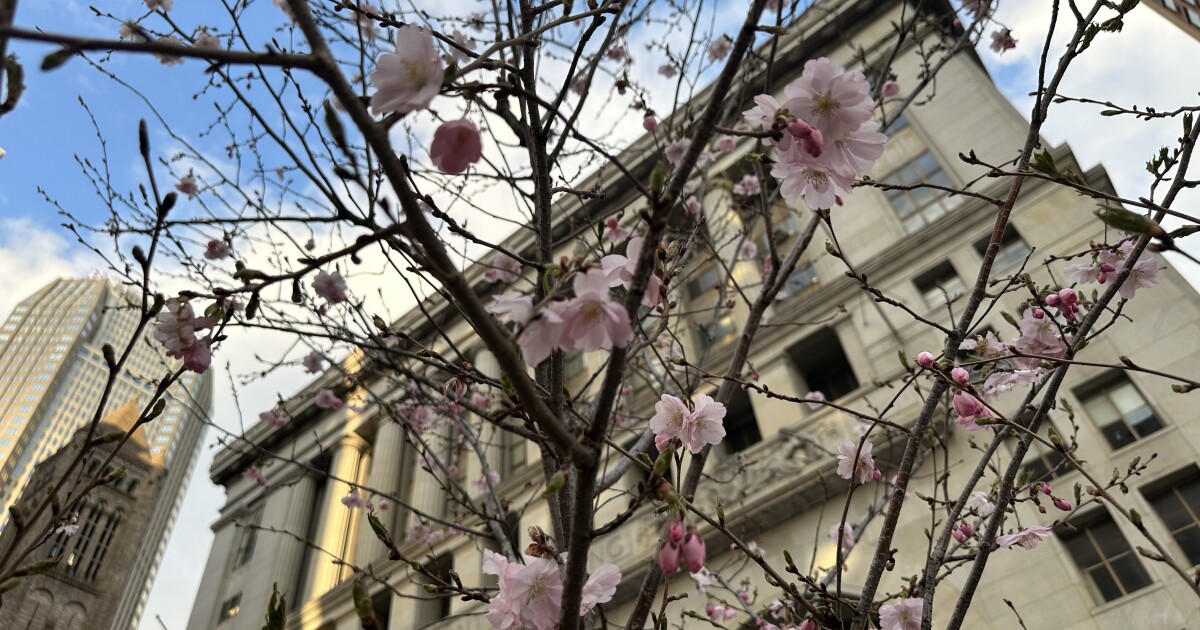 피츠버그 시의회 직원, 경찰이 ICE와 협력하는 것을 금지