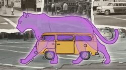 1973년 오늘, 전투적인 LGBTQ+ 인권 단체 ‘라벤더 팬더스(Lavender Panthers)’가 창립되었습니다.