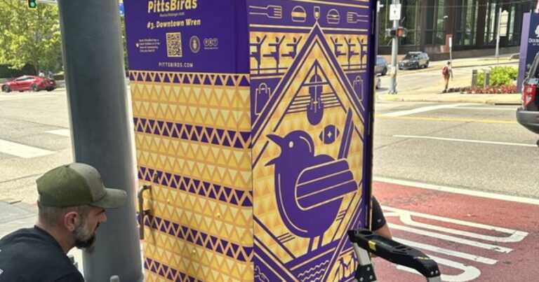 PittsBirds에 오신 것을 환영합니다. 새로운 공공 예술 설치로 PRT의 University Line이 새장으로 변모했습니다.
    


