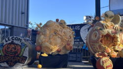 피츠버그 몬스터 호박 축제(Pittsburgh Monster Pumpkins Festival)가 스트립 지구에서 펼쳐집니다.